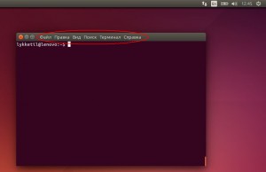 133-ubuntu-customization-4
